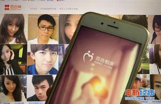 百合网会员多少钱