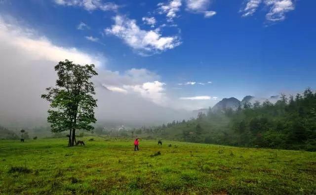 重庆旅游一脚跨秦巴，一月照千峰