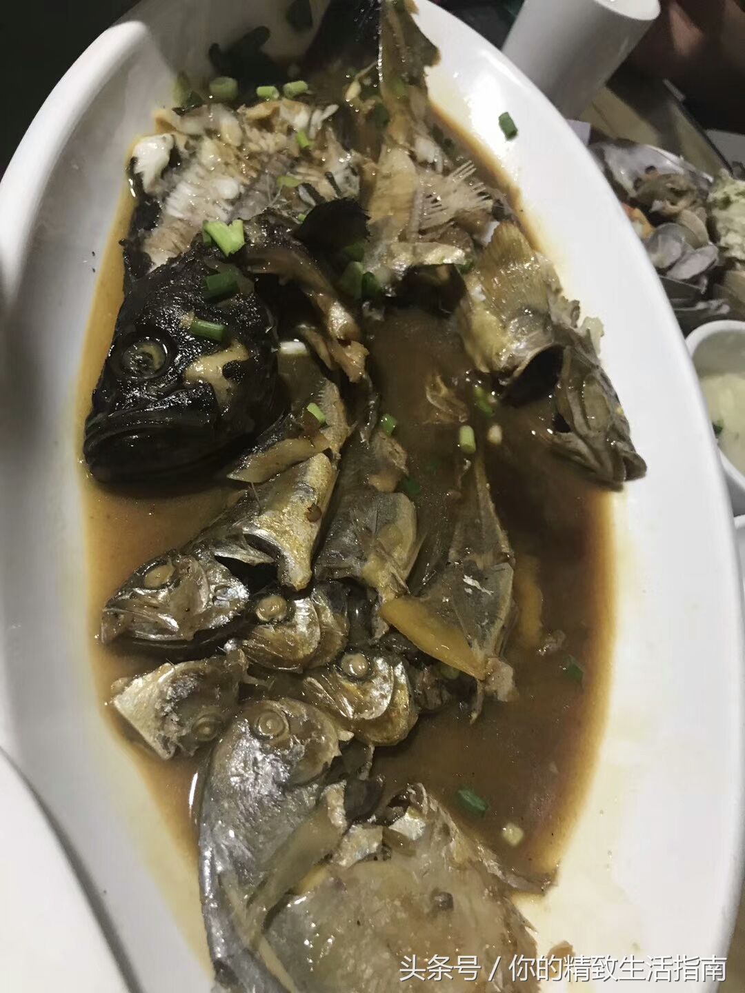 山东三线城市的海边 点这么一小桌海鲜 你看值