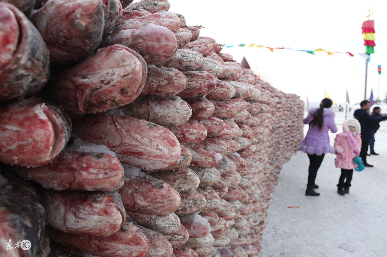 大鱼磊成鱼墙,1个鱼头能换1套楼房,传了千年的渔猎成了聚宝盆_【今日爆点】