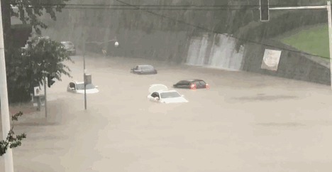 一阵台风刚过,又有两场台风要来!面对台风暴雨,柑橘只能减产?