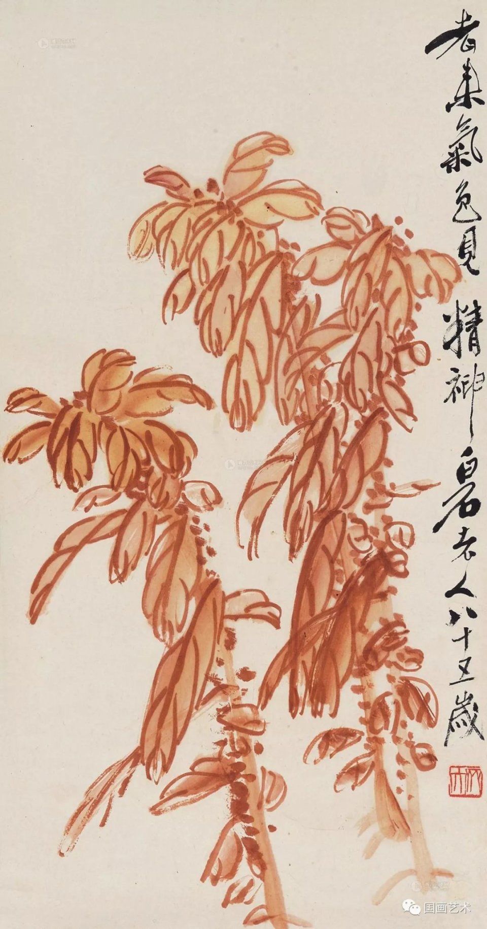 霜叶如花--齐白石雁来红作品北京名士画院 霜叶如花--齐白石雁来红作品北京名士画院