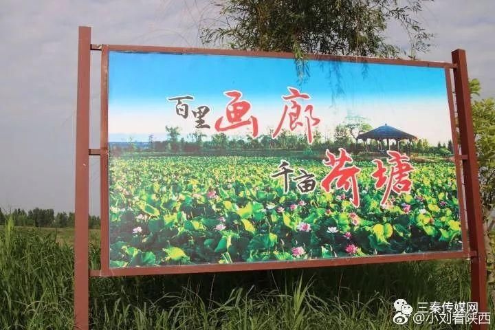 宝鸡眉县一砂石厂为何难监管?眉县环保局李玉怀局长出来走两步!