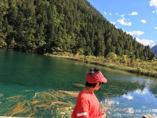 醉美九寨，不灭的神话(二)纪念逝去的火花海，诺日朗瀑布