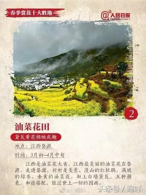 清明出游去哪儿？春季赏花十大胜地