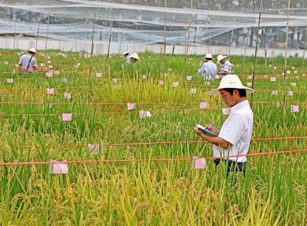 人才短缺 是黑龙江省农业龙头企业跨越发展的