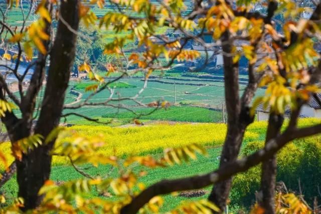 3月，美的不仅是丽江，更是丽江旁边的这座小城！