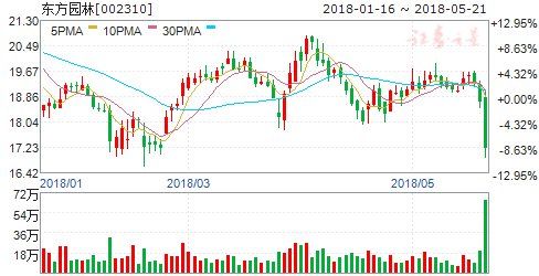 东方园林午后大跌超9% 公司回应称经营一切正常