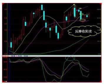 一个上海老股民伏击涨停板从不失手，掌握此文，傻子都会炒股！