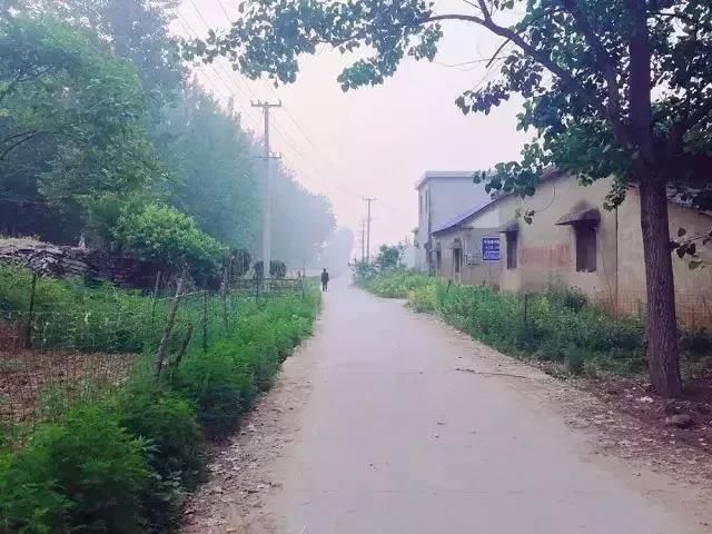 回老家收麦，我却看见了不一样的场景，这就是平静的乡村日常生活