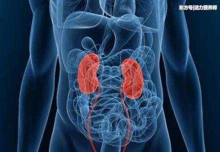 医生:肾功能下降会出现4种症状,一个都不能大