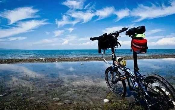 恐吓,动物攻击,复杂路况,为啥还有这么多人去西藏?