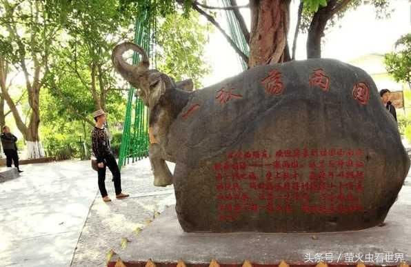 云南有户人家，客厅在缅甸，卧室在中国，每天起床一开门就出国了