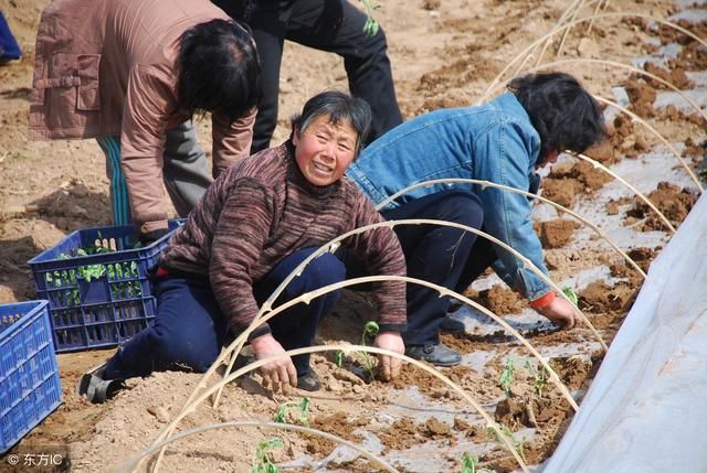 还有半年，农村土地确权结束了，这3件事你办好了吗？迟了吃亏！