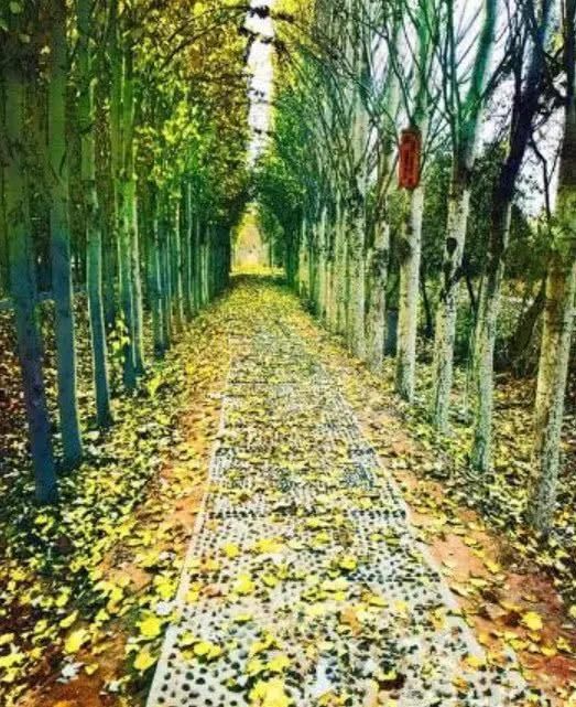 心理测试:3条小路,你会走哪条?测5年内你的财运走势如何!