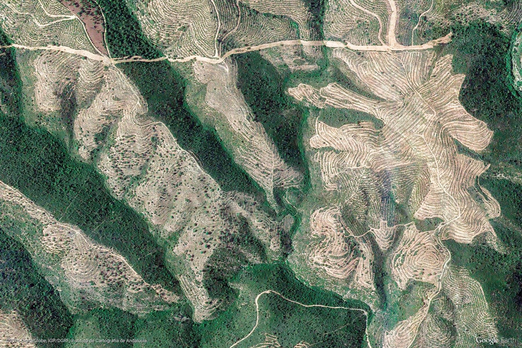 10张来自谷歌地球的高清卫星照片，让人感叹大自然的神奇魅力