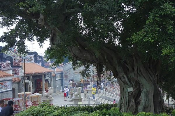 香港人口最稠密的岛屿长洲