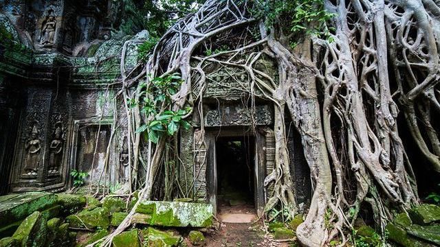 如果忘不掉过去，那就去吴哥窟。如果想开启新生活，那就去吴哥窟