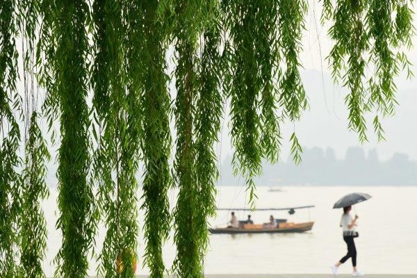 注意了！明后天有雷雨大风 不过后半周会有好天气