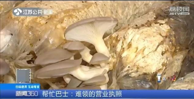 营业执照哪里办