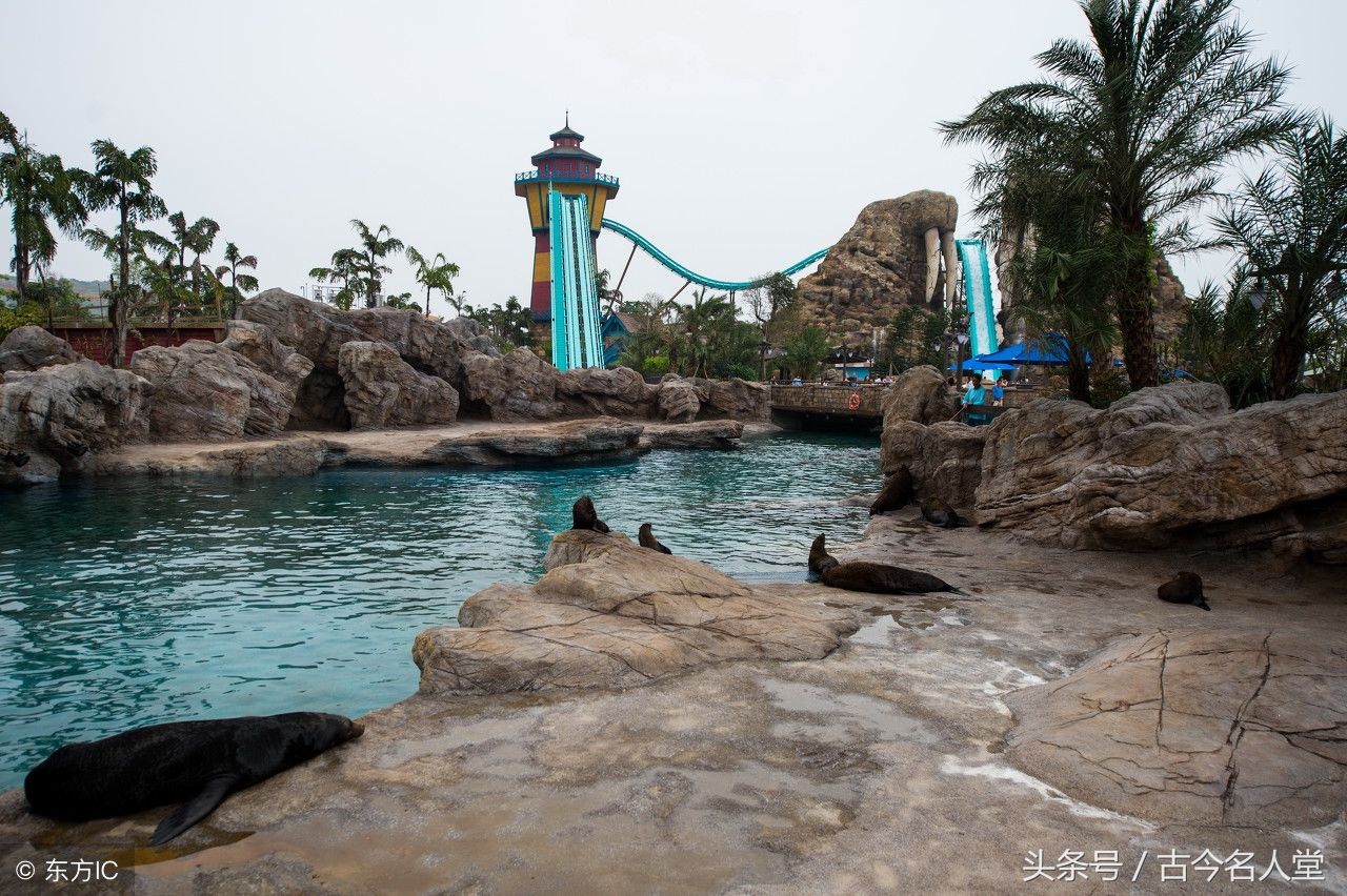 长隆海洋王国,全球顶级主题公园!350元门票究