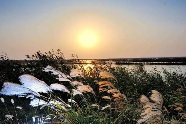 粉墙黛瓦意境江南,乐享昆山小镇生活,沉醉一生又何妨