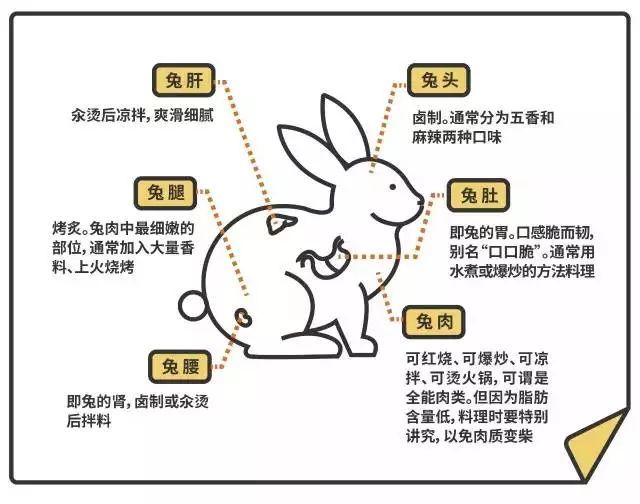 为什么四川人喜欢吃兔兔？其实是因为...