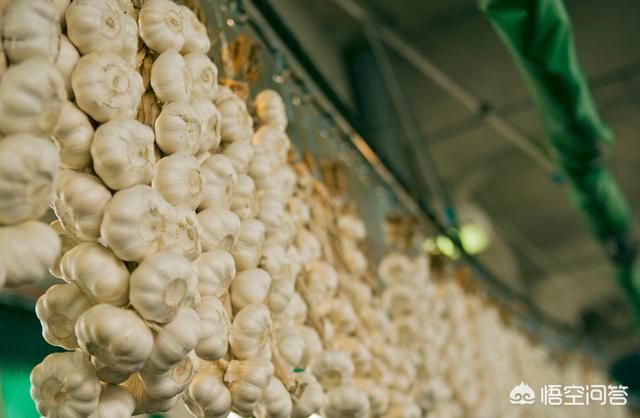 大蒜价格出现“断崖式”下跌，未来还有上涨的可能吗?