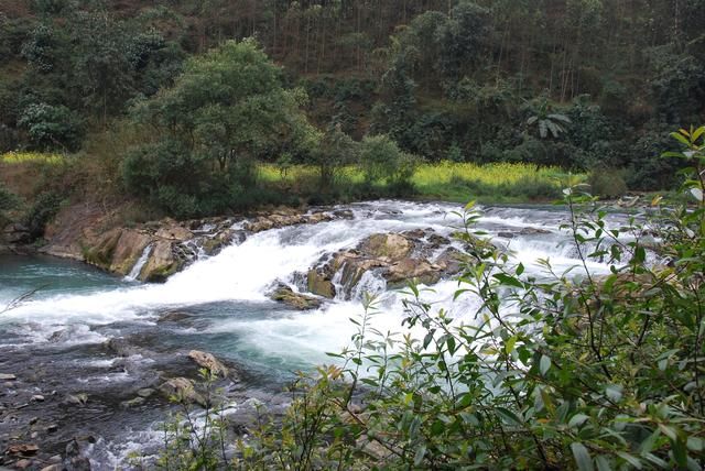 随走札记｜一到春天，罗平就变成了多彩的世界