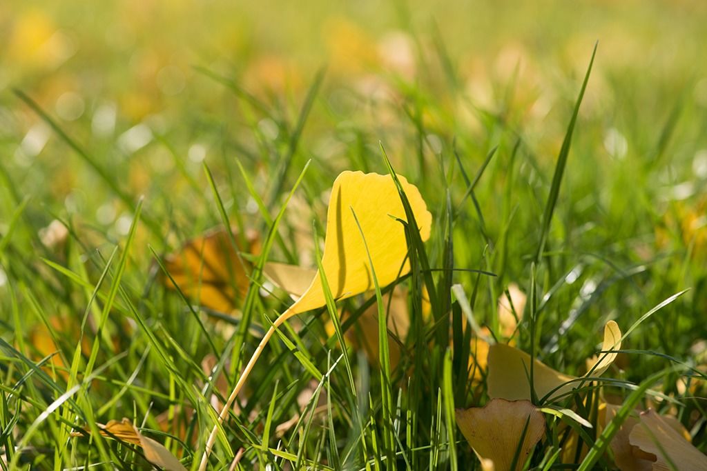 图虫摄影:午后阳光_【今日爆点】
