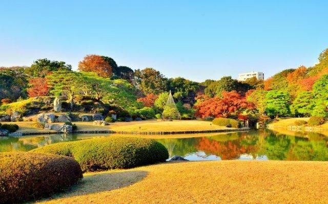 跟团游绝对不会去的东京好地方!好玩得停不下