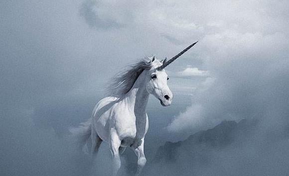 当初烂尾的独角兽基金,逆袭了