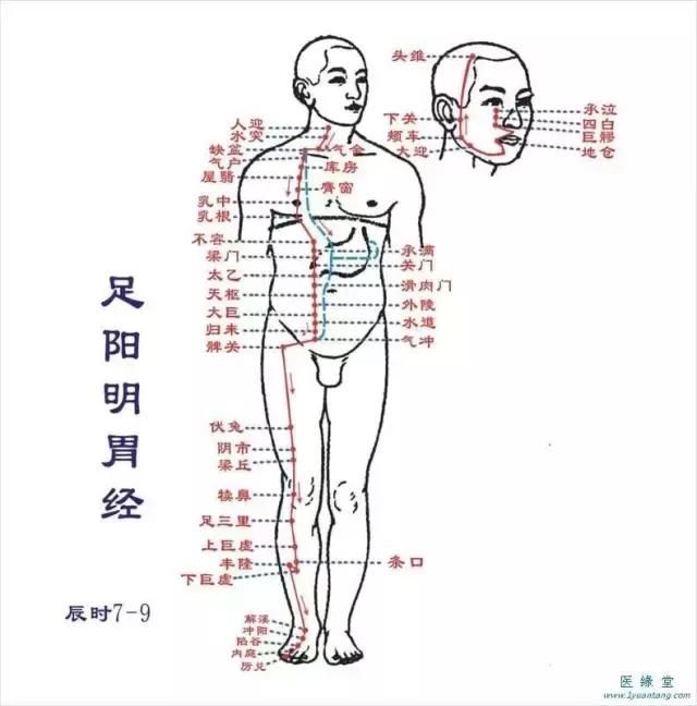 5月祛湿，这两个穴位一按湿气全跑光！肥胖、水肿、脚气无影踪！