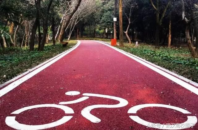 武汉30个春游免费景点大集合!踏青、骑行、拍照来这里就对了!