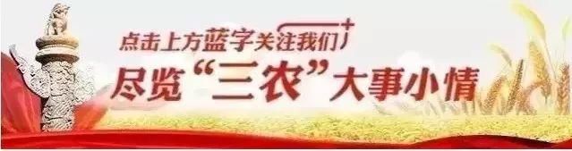 最全农村宅基地24问，看完记住你就成专家了！