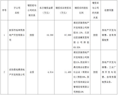 一个公司的对外投资