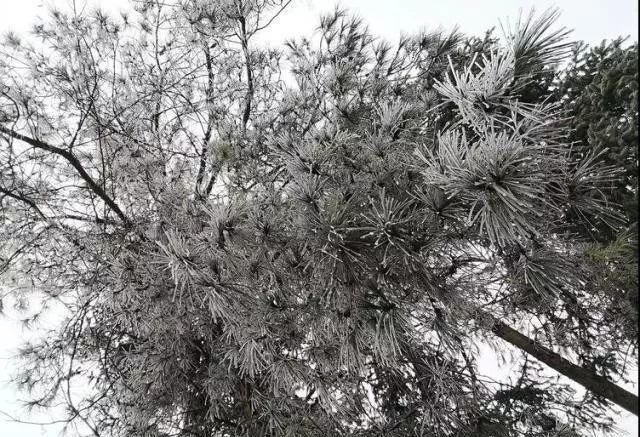 这是贵州最全的冰雪景观！美得有点猝不及防……