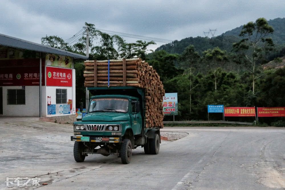 跟老司机一起去深山老林拉木材，一车能挣900块