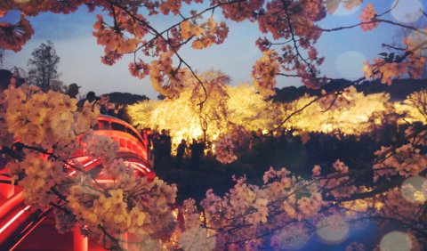 有房还能买房子