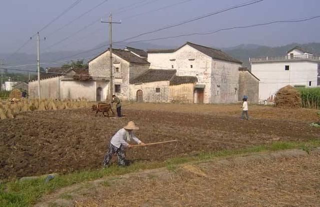 未来的10年，农村最值钱的不是房与车，而是这3样东西