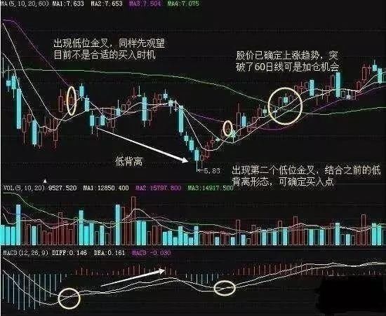 A股预言帝:成功率极高的MACD选股方法，精准把握牛股踪迹，相见恨