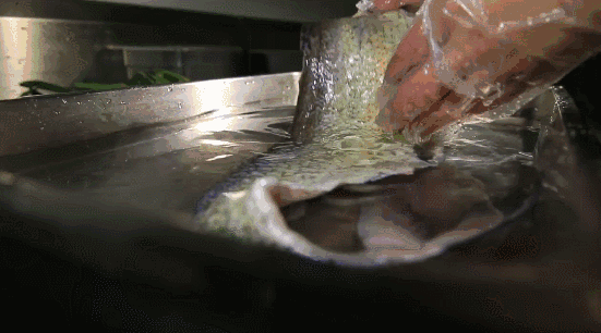 给幸福加道菜 | 大口大口吃掉它！这是对一条太湖白鱼最好的尊重