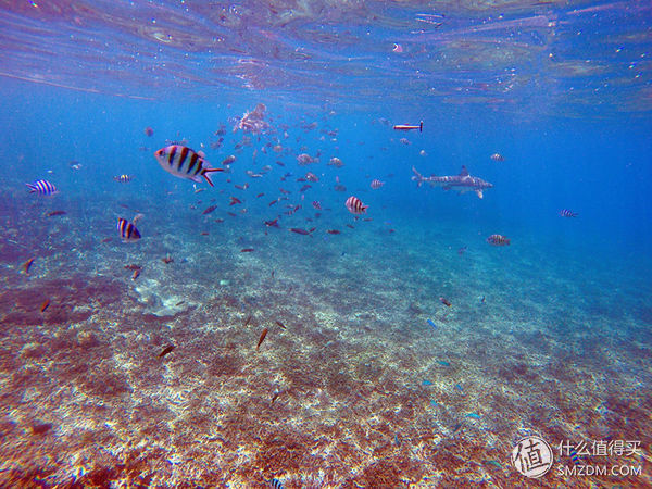头脑一热，去马来西亚热浪岛了