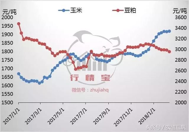 猪肉消费需求支撑乏力，但猪价跌近成本线，年后或能有改善？