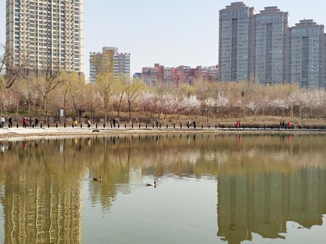 乌鲁木齐的房价会继续涨吗？预测两年内不会有小福上涨