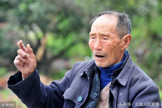 在农村老人常说 人穷休入众,位卑莫劝人 是什么