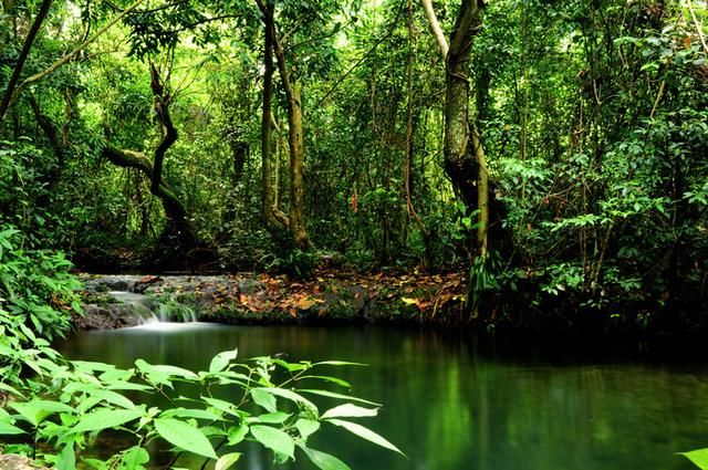 罗城水上相思林，如上天遗落的一颗绿宝石！