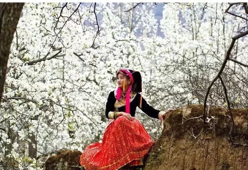 【每月在路上】三月,送你最in的赏花攻略,十大赏花胜地,愿你不