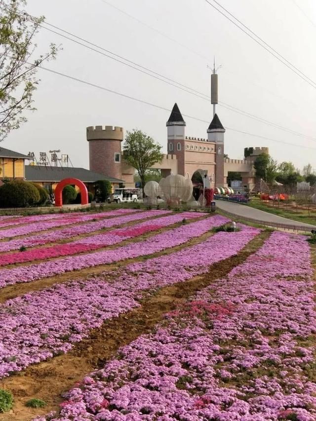 五一旅游好去处：洛阳！城市旅游不虚此行