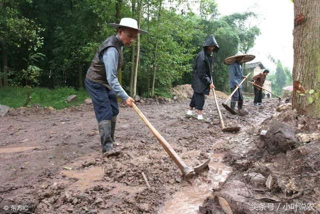 农民要记住：从6月起农村有1项费用停交，有2项新规定开始实施